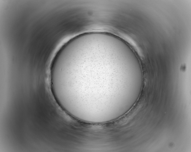 X0000102361472200808151802