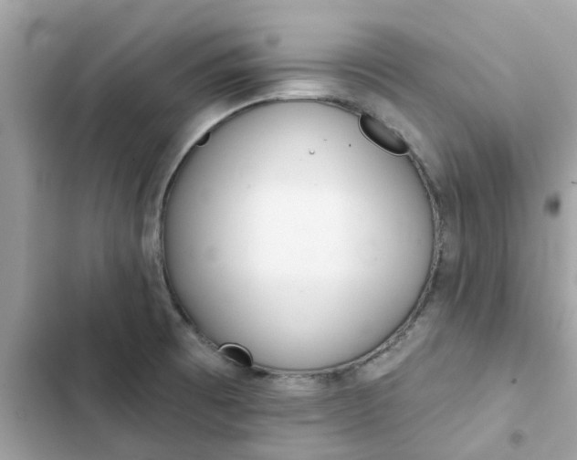 X0000102361473200808151802