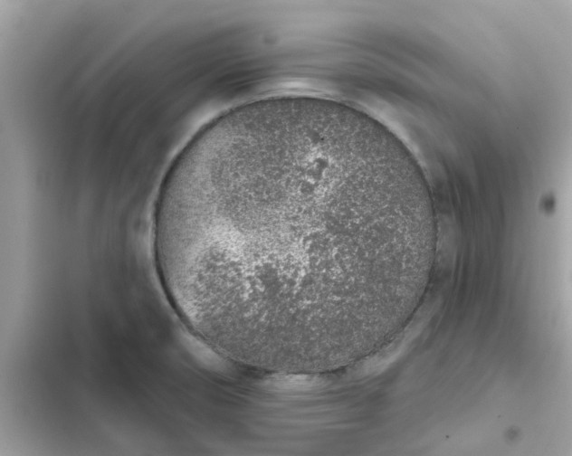 X0000102361474200808151802