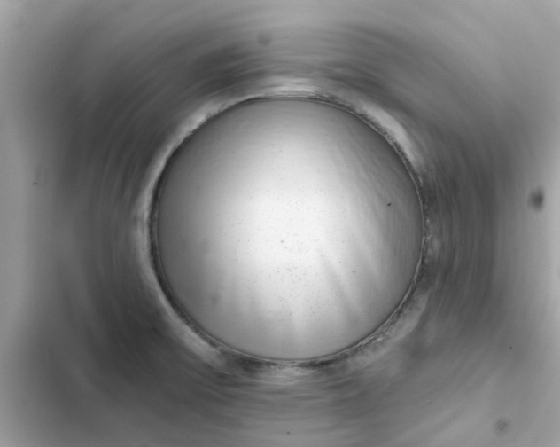 X0000102361475200808151802