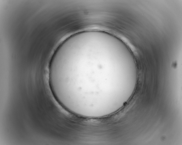 X0000102361476200808151802