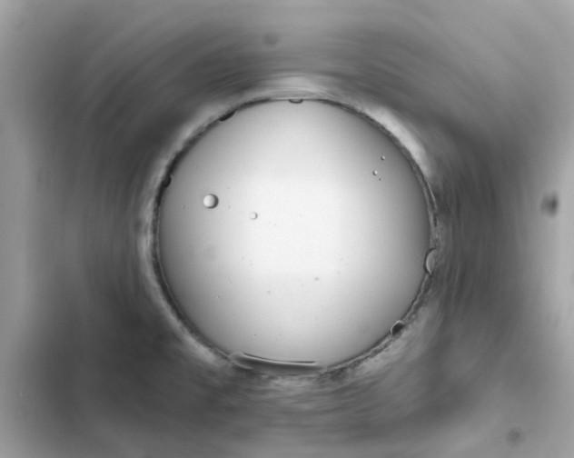 X0000102361477200808151802