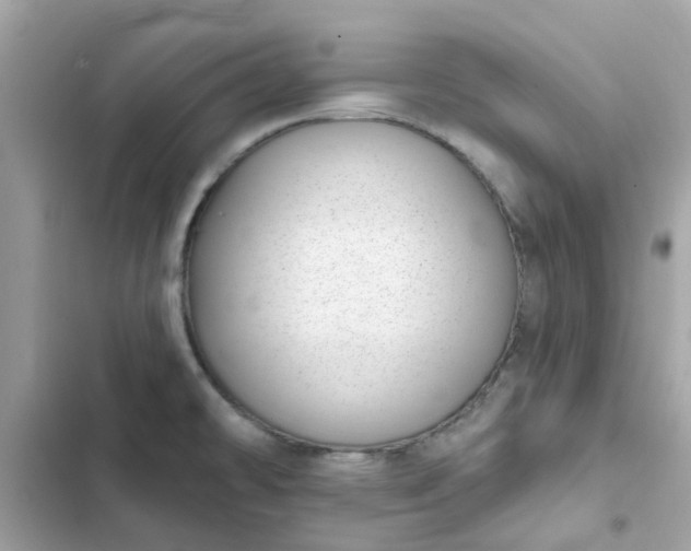 X0000102361478200808151802