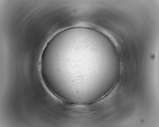 X0000102361479200808151802