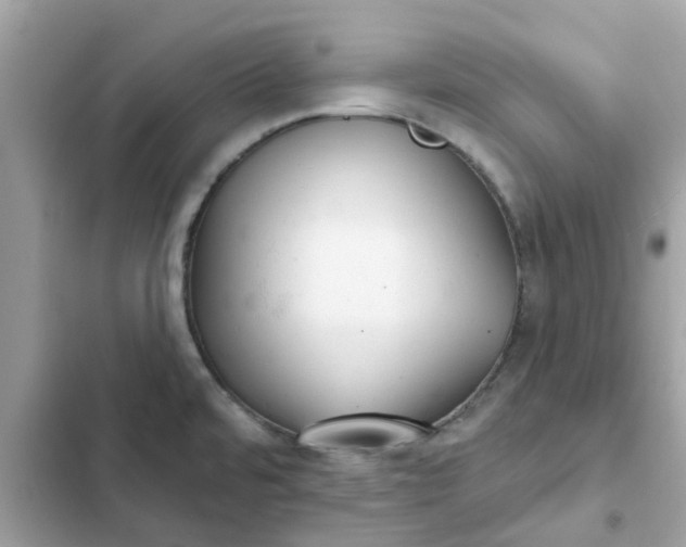 X0000102361480200808151802