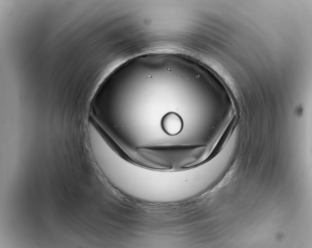 X0000102361481200808151802