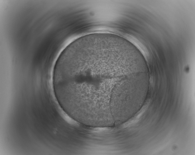 X0000102361482200808151802