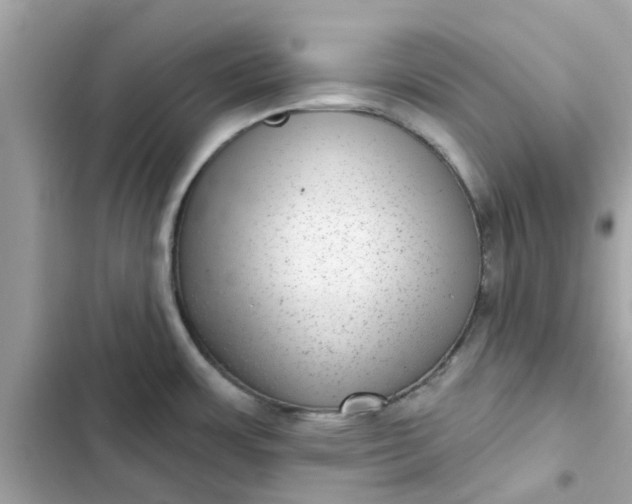 X0000102361483200808151802