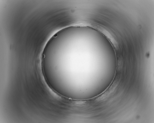 X0000102361484200808151802