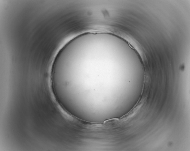 X0000102361485200808151802