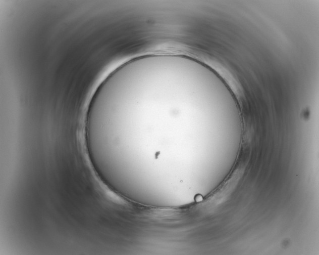 X0000102361486200808151802