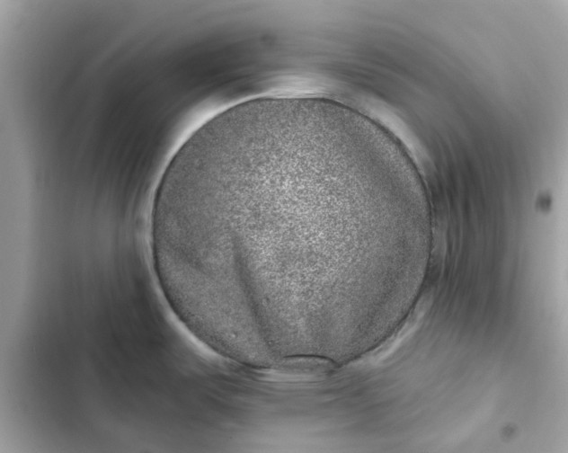 X0000102361487200808151802