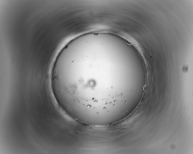 X0000102361488200808151802