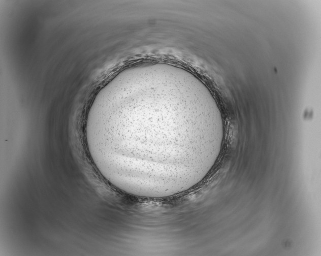 X0000102361489200808151801