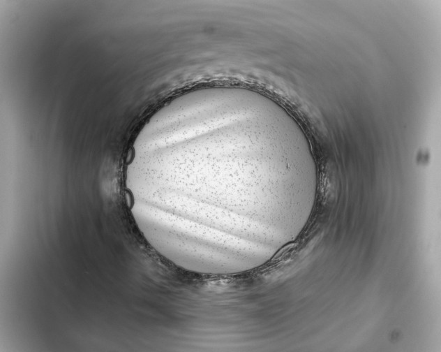 X0000102361490200808151801