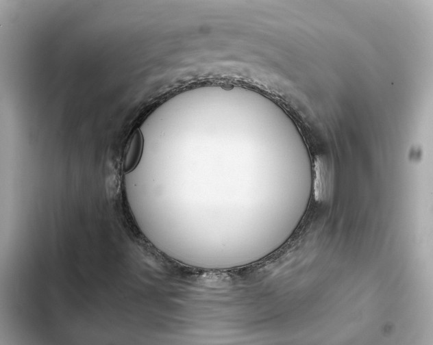 X0000102361491200808151801