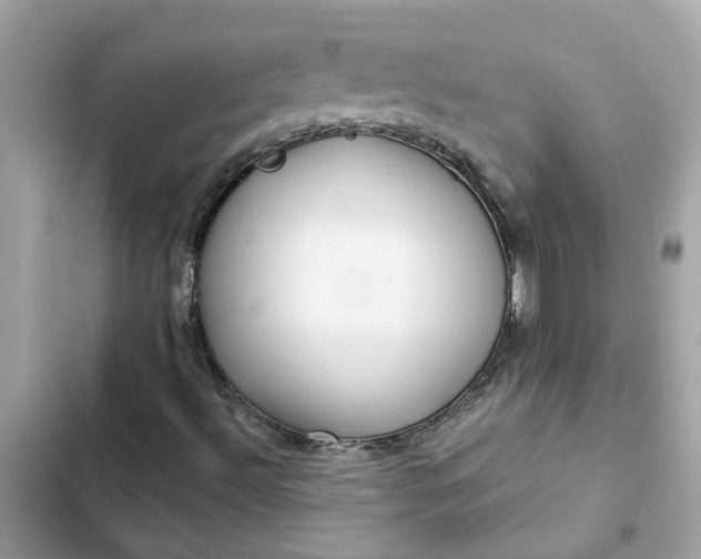 X0000102361492200808151801