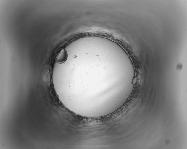 X0000102361493200808151801