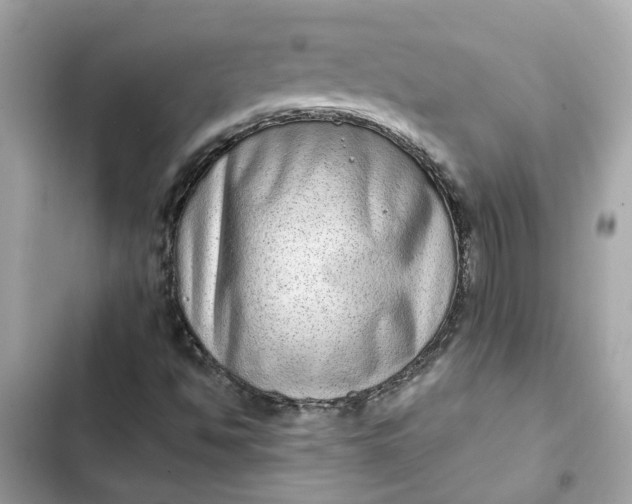 X0000102361494200808151801