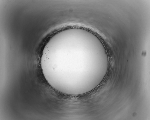 X0000102361495200808151801