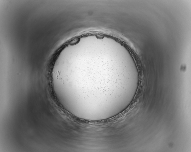 X0000102361496200808151801