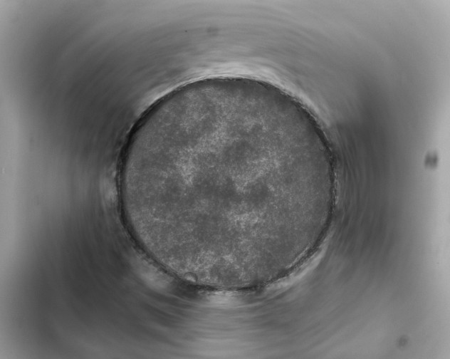 X0000102361497200808151801