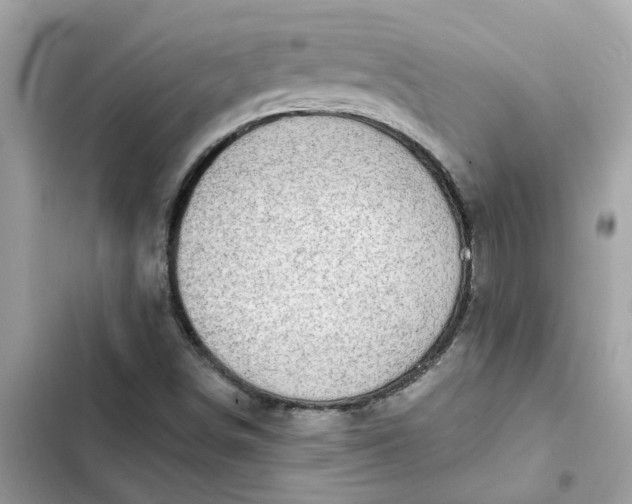 X0000102361498200808151801