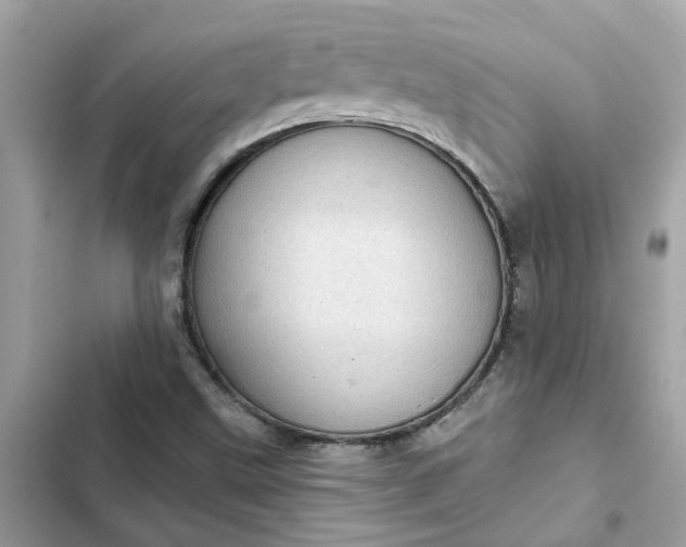 X0000102361499200808151801