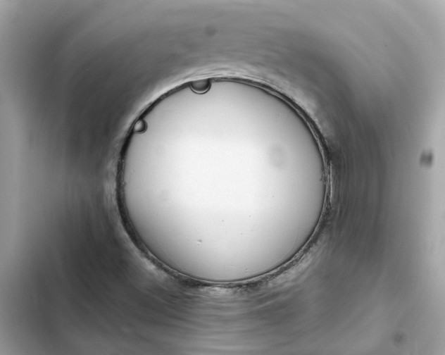 X0000102361500200808151801