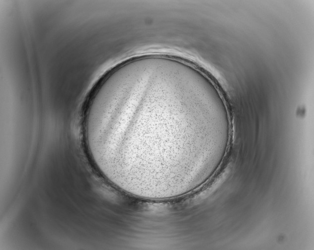 X0000102361501200808151801