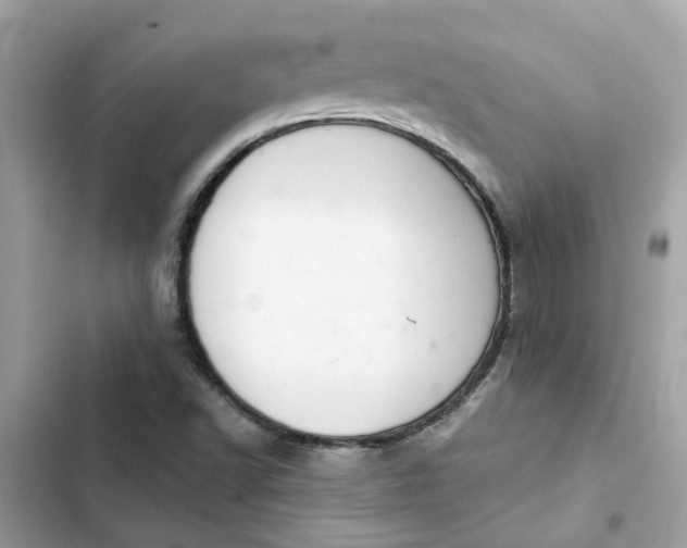 X0000102361502200808151801