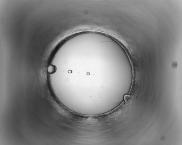 X0000102361503200808151801