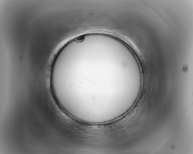 X0000102361504200808151801