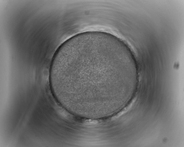 X0000102361505200808151801