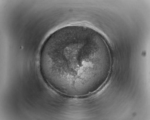 X0000102361506200808151801