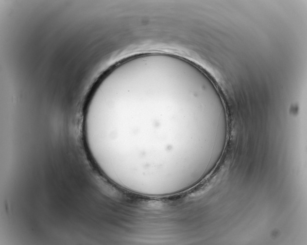 X0000102361507200808151801