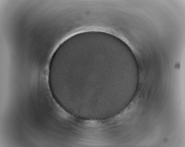 X0000102361508200808151801