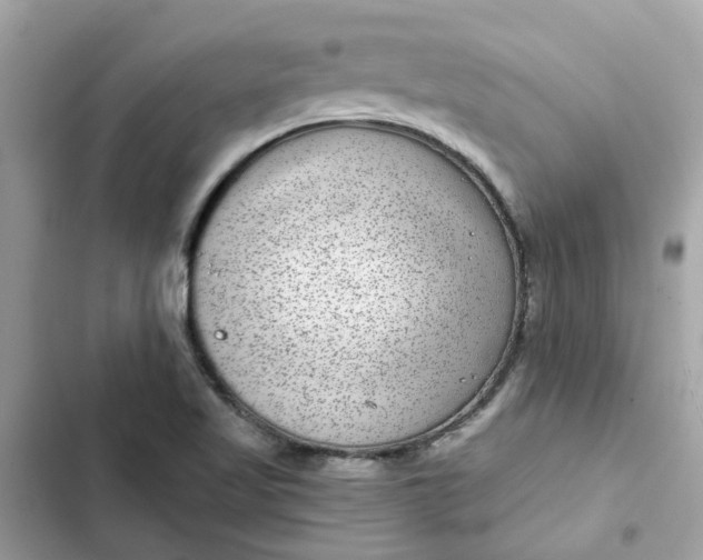 X0000102361509200808151801