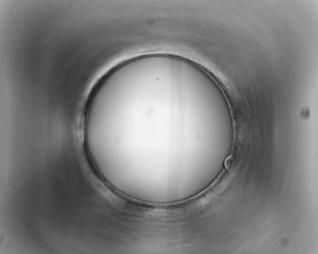 X0000102361510200808151801