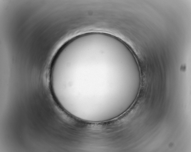 X0000102361511200808151801