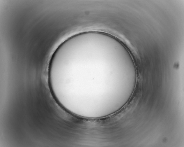 X0000102361512200808151801