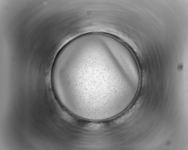 X0000102361513200808151801