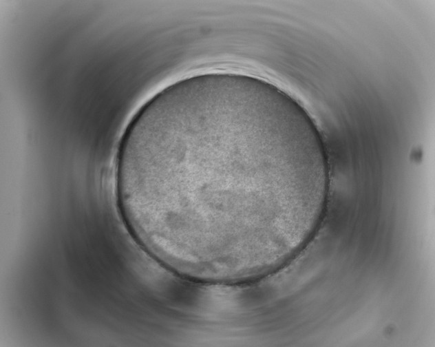 X0000102361514200808151801