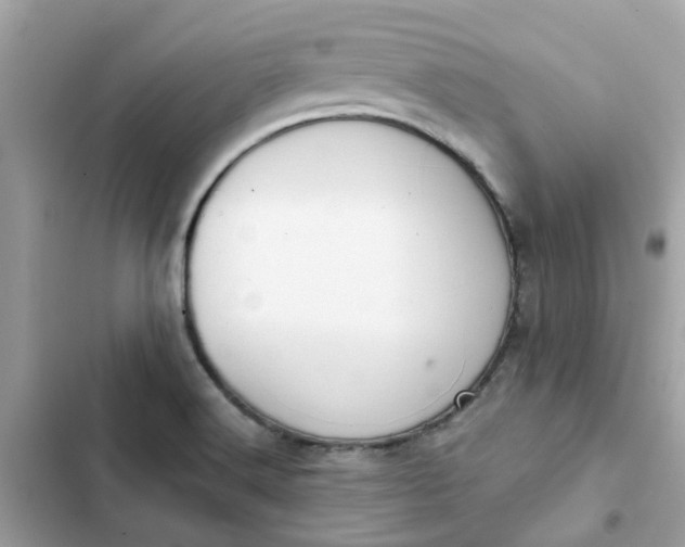 X0000102361516200808151801