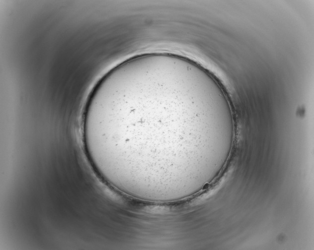 X0000102361517200808151801