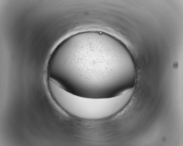 X0000102361518200808151801