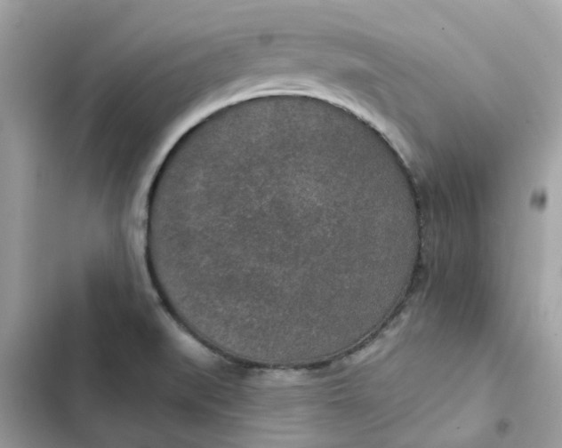 X0000102361519200808151801