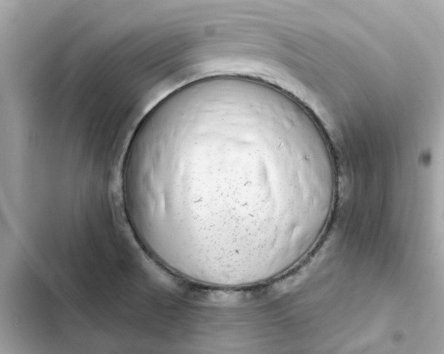 X0000102361521200808151801