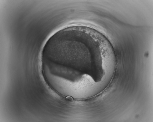 X0000102361522200808151801