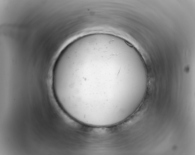 X0000102361523200808151802